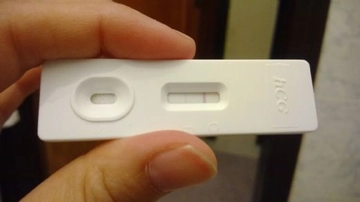 Hamilelik İdrar Testi Hamilelik idrar Testi Nasıl Yapılır?